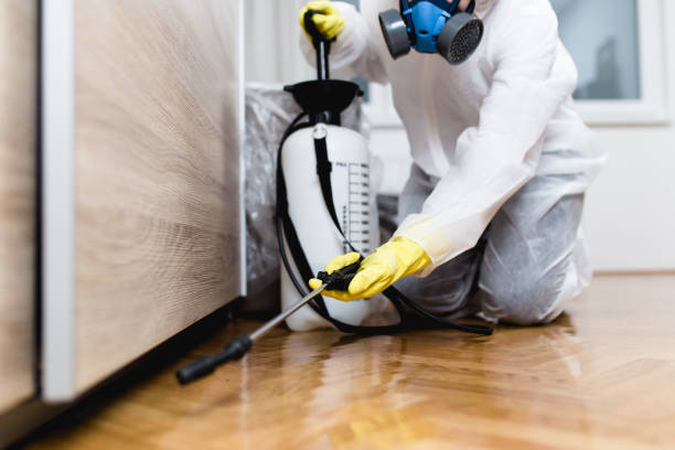 Trusted Carolina Beach, NC Pest Control Experts