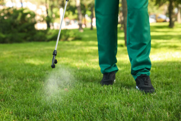 Best Rat Extermination Near Me  in Carolina Beach, NC