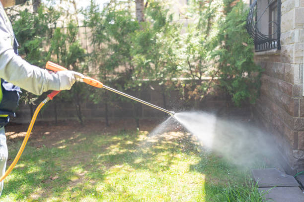 Pest Control for Restaurants in Carolina Beach, NC