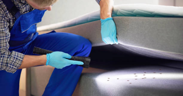 Best Ant Control Services  in Carolina Beach, NC