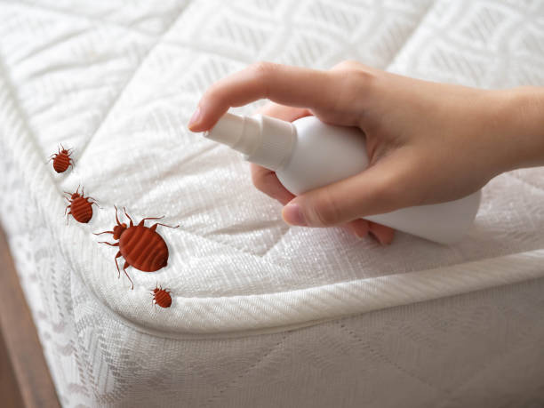 Best Exterminator Services  in Carolina Beach, NC