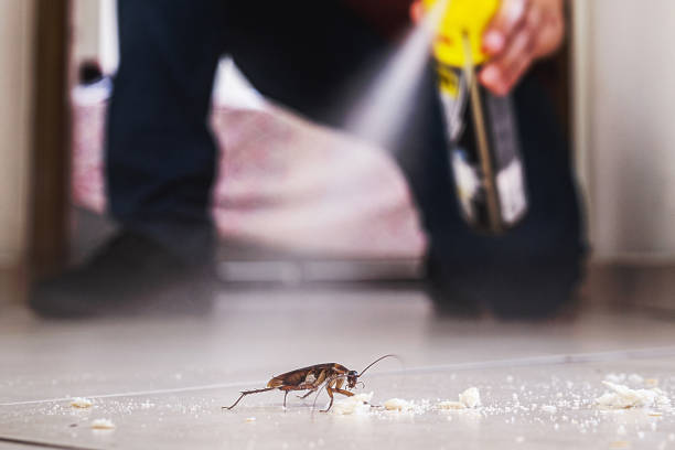  Carolina Beach, NC Pest Control Pros