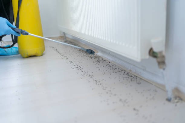 Best Commercial Pest Control Services  in Carolina Beach, NC